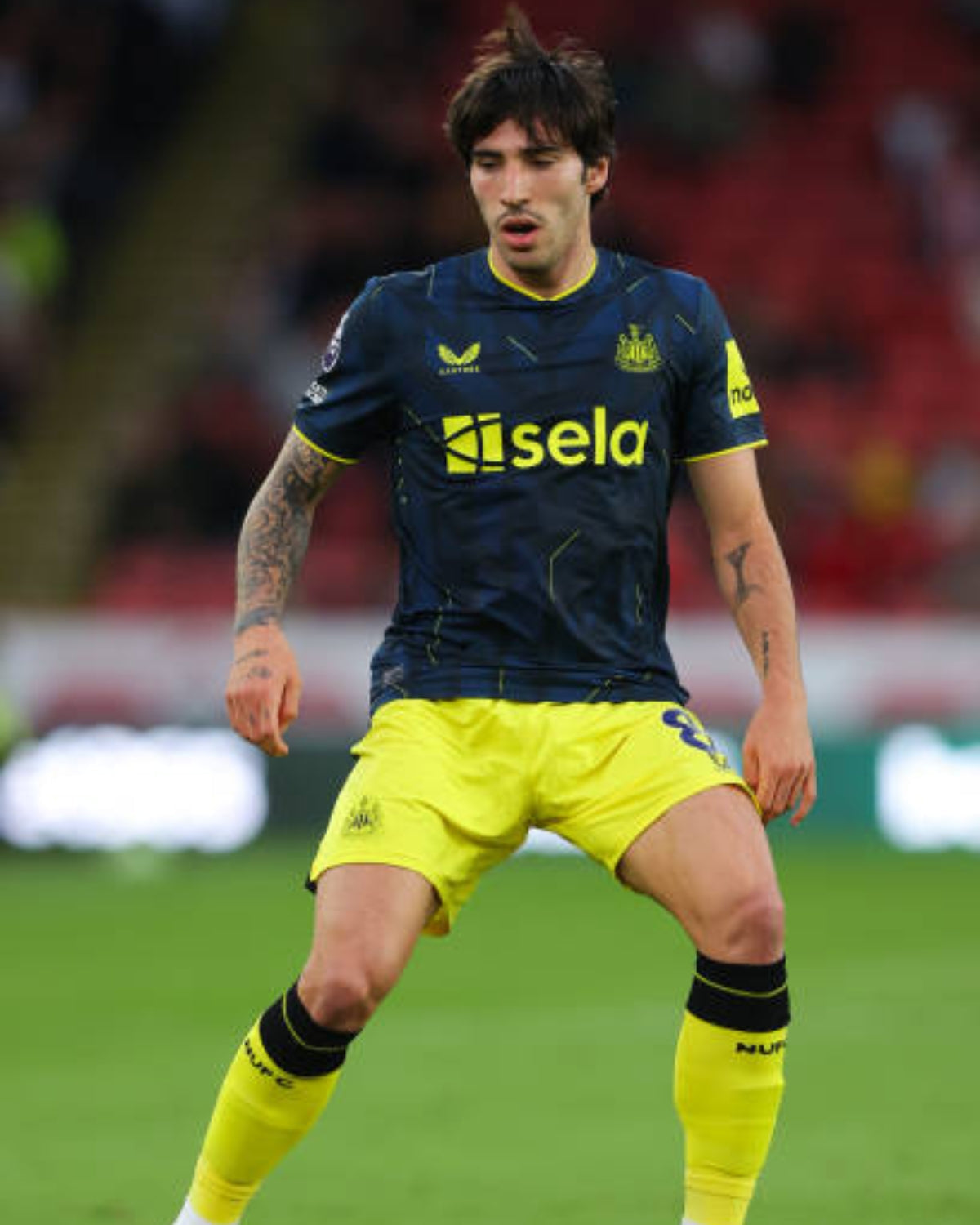 TONALI SANDRO 2023-24 (Newc)